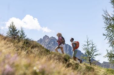 Two hikers with backpacks ascending a grassy mountain slope with pine trees and rocky peaks under a blue sky.