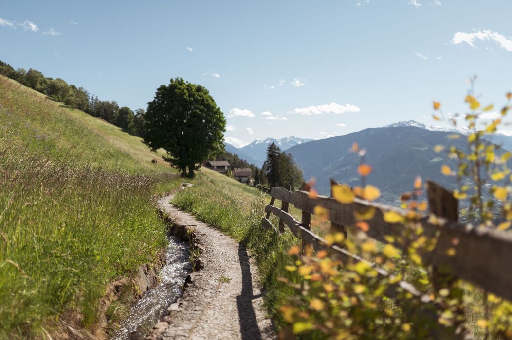 Wanderpfad mit kleinem Bach, Holzzaun, Baum und Bergen im Hintergrund.