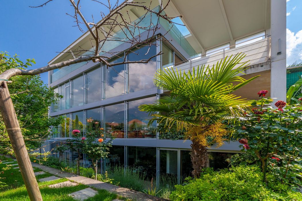 Modernes Haus mit großen Glasfronten, Palme und Rosen im Garten.