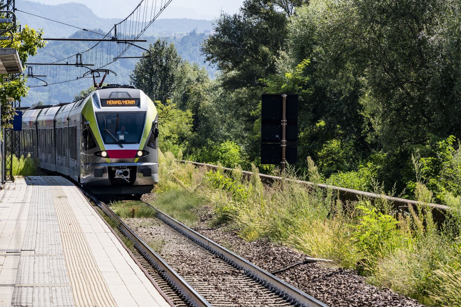 Regionalzug fährt in kleinen Bahnhof, Gleise und dichtes Grün im Hintergrund