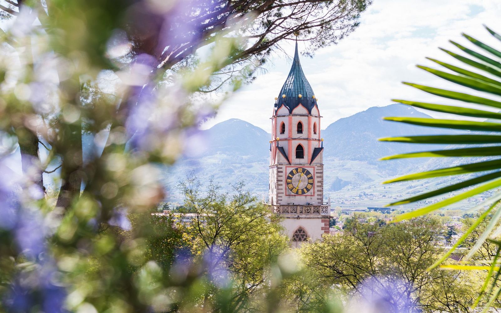 Church clock tower framed by blurred purple flowers and palm leaves with mountains in the background