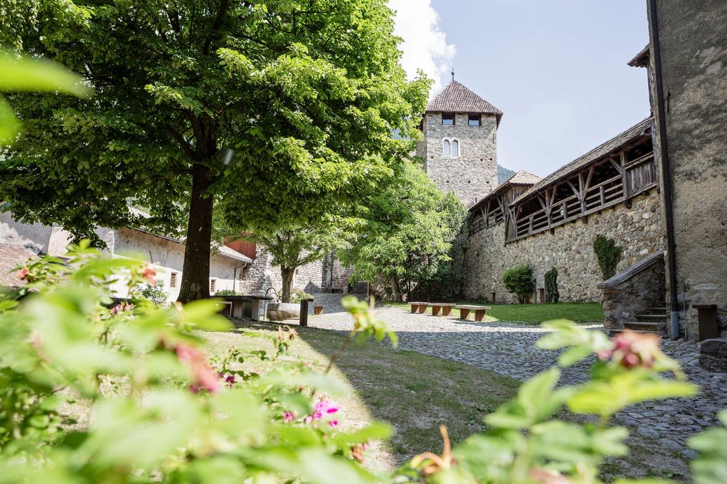 Innenhof einer mittelalterlichen Burg mit großem Baum, Kopfsteinpflaster und steinernem Wehrturm.